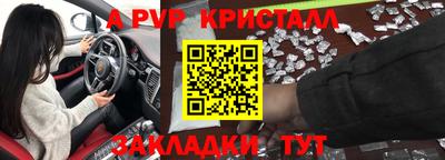 гашик Моздок
