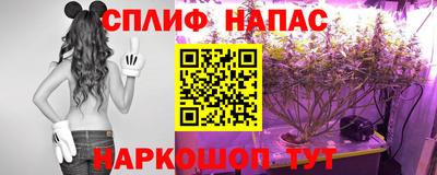 стафф Можга