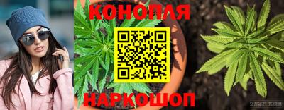 гашик Моздок
