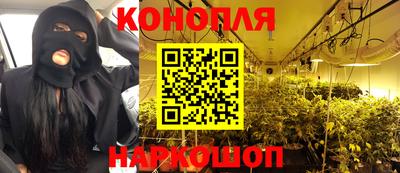 стафф Можга