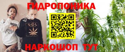 гашик Моздок