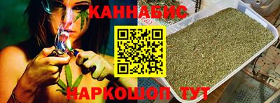 гашик Моздок